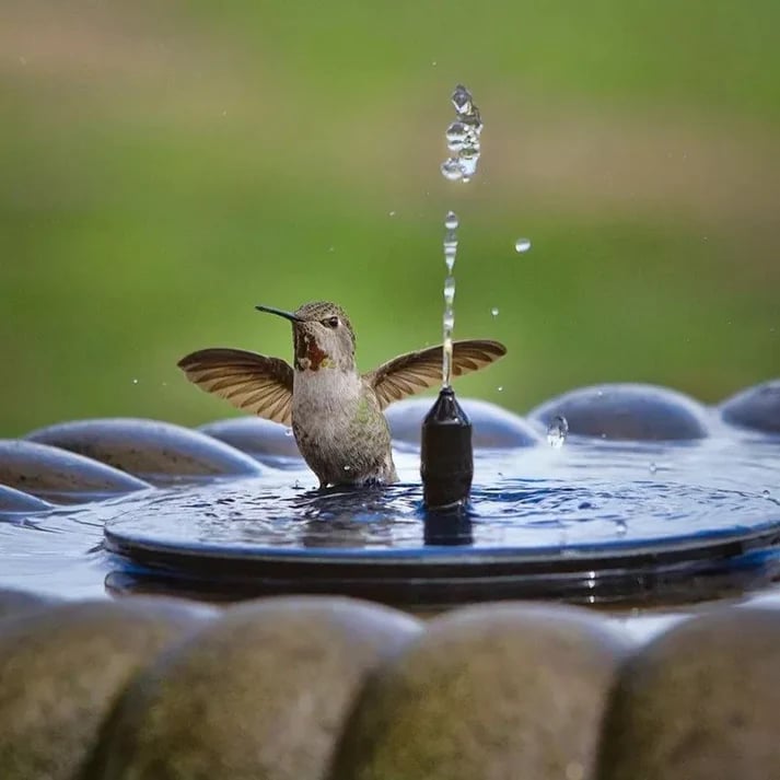 🔥COMPRE 1 Y LLÉVESE 2🔥 Bomba de fuente solar compacta para aves – ¡Mantén tu jardín vivo! 🐦️