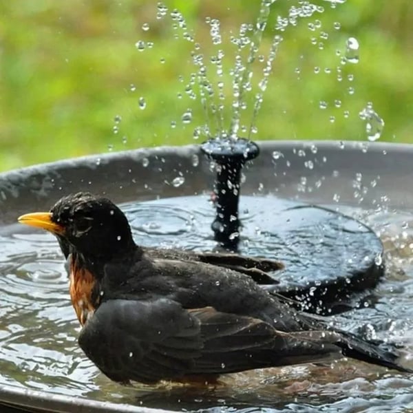 🔥COMPRE 1 Y LLÉVESE 2🔥 Bomba de fuente solar compacta para aves – ¡Mantén tu jardín vivo! 🐦️